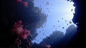 tumblr_my8gnk62K51rzmc50o1_500