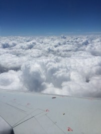 Kennedy's pictures 965