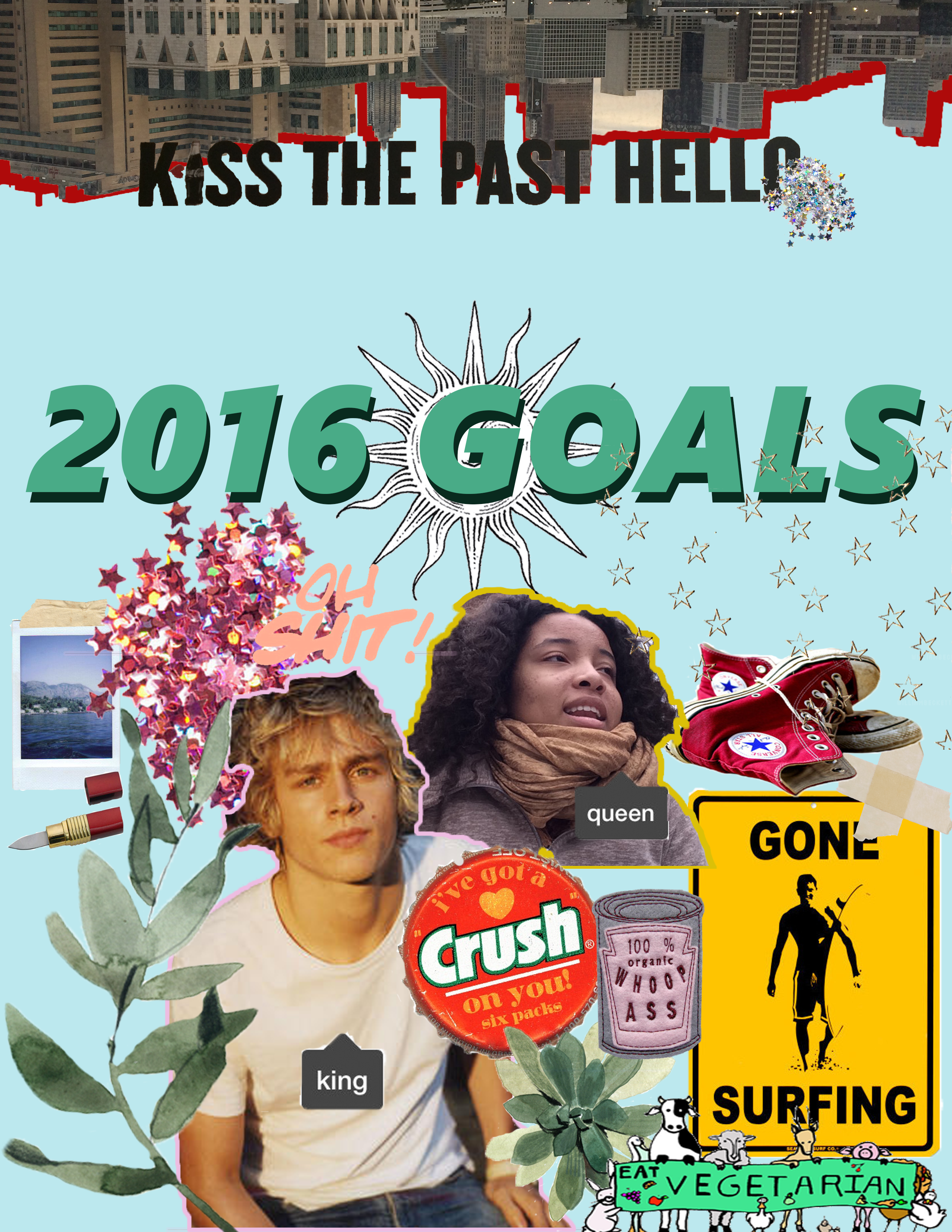 2016 goals