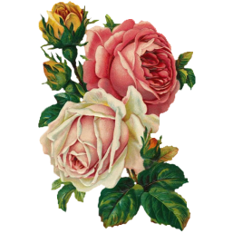 tumblr_o0egixOwLD1snsm1uo1_1280