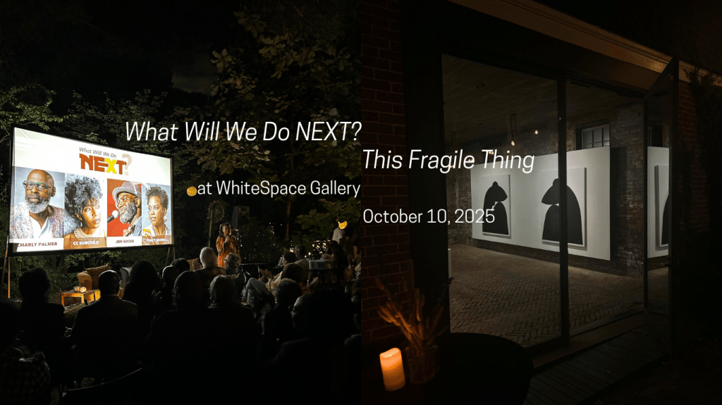 What Will We Do NEXT? & This Fragile Thing at WhiteSpace Gallery | Art Exhibition&nbsp;Review